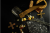 Screenshot 2021-11-03 at 14-52-29 Odpływ Ścienny Naturalne Złoto Szczotkowane - Super Niski - WALL PRO - Brushed Natural Gold.png