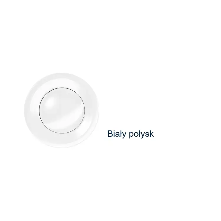 Bialy