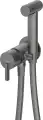 Deante SILIA bateria bidetowa podtynkowa titanium BQS_D34M