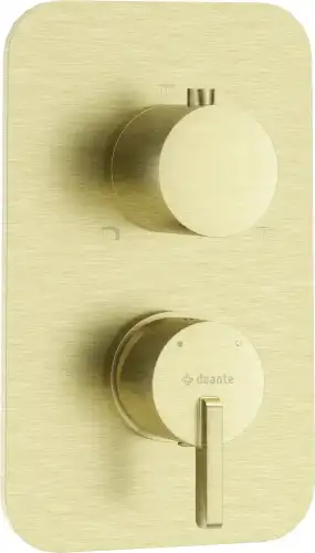 Deante SILIA elemet zewnętrzny baterii podtynkowej z przełącznikiem złoty szczotkowany BXY_RQSM
