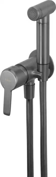 Deante ARNIKA bateria bidetowa podtynkowa titanium BQA_D34M