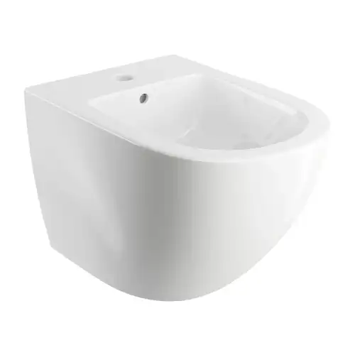 Omnires OTTAWA bidet podwieszany 49 biały połysk OTTAWABIBP